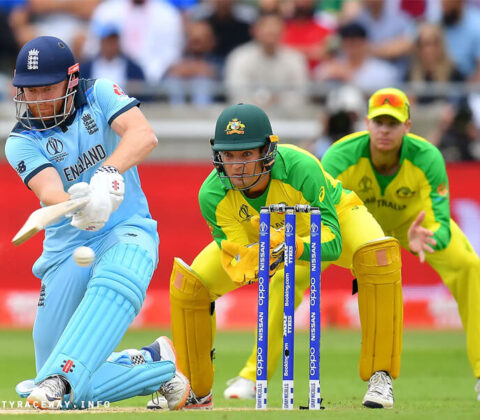 Cricket